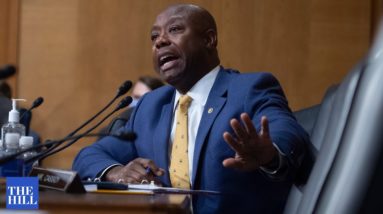 "It Makes My Stomach Ache" Tim Scott Disgusted With Democrats' Jim Crow 2.0 Argument