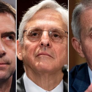 'Are You Investigating Tony Fauci For Lying To Congress?' Cotton Presses Garland On Fauci