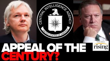 Appeal Of The Century: UK Court Hears Allegations That CIA Tried To Kidnap Julian Assange