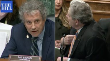 'You Can't Just Interrupt Me!' Kennedy Erupts On Sherrod Brown During Hearing