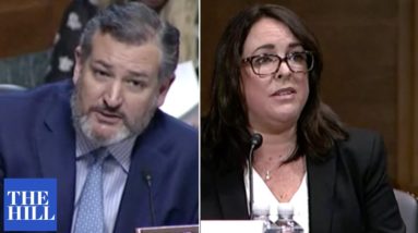 'Do You Share Those Views?' Cruz Grills Judicial Nominee On Anti-Police Statement
