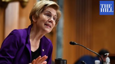 'A Vicious Smear Campaign!' Warren Defends Comptroller Nominee From GOP Attacks
