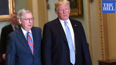 Trump Mocks 'Old Crow Mitch' McConnell Over Biden's Infrastructure Win