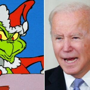'The Grinch That Stole Christmas': GOP Senator Rips Biden On Inflation Ahead Of Holidays