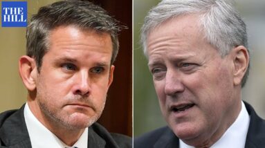 'Wrote A Book To Line His Pockets:' Kinzinger Hammers Meadows For Profiting Off Jan. 6
