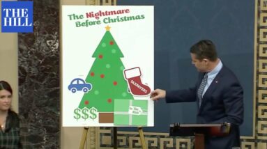 'The Nightmare Before Christmas': GOP Sen. Shreds Democrats in Holiday-Themed Speech