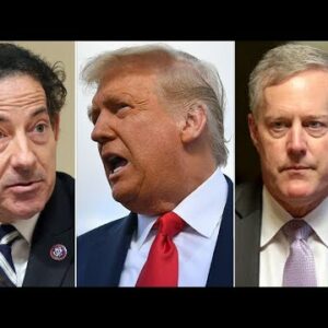 'Do We Have Kings? Do We Have Lords?' Raskin Attacks Donald Trump, Mark Meadows