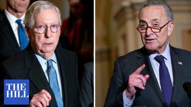 'Beast Of A Different Nature': Schumer Hammers Republicans Over Stalled Biden Nominees