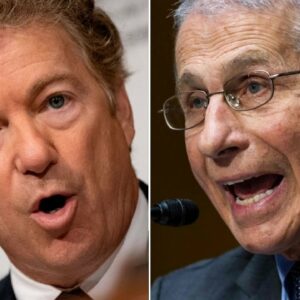 'It's Time That You Resign!' Every Rand Paul vs. Dr. Fauci Confrontation From 2021