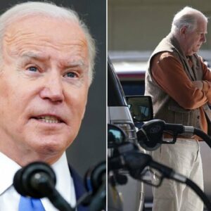 'More Than 10 Cents A Gallon': Biden Says Gas Prices Beginning To Stabilize