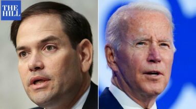 'Biden Is Making Things Worse': Rubio Criticizes Biden, Touts '21 Legislative Wins