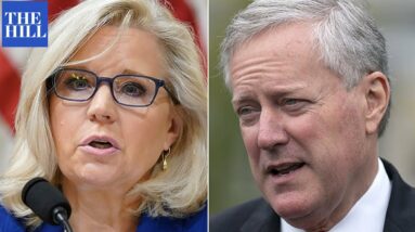 Liz Cheney Reads Shocking Texts From Fox News Hosts, Don Jr. To Mark Meadows On Jan. 6th