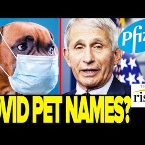 Ryan, Kim, And Robby REACT To Pandemic-Inspired DOG NAMES. Did Ryan REALLY Name His Dog Paxlovid?