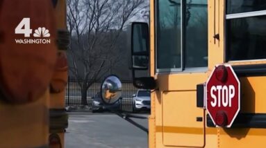 DC-Area School Bus Driver Shortage Causes Ripple Effects | NBC4 Washington