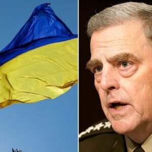 Top U.S. General Asked If Ukraine Taking All Necessary Steps To Deter Russian Invasion