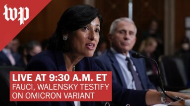 LIVE at 9:30 a.m. ET | Fauci, Walensky testify at Senate hearing on omicron variant
