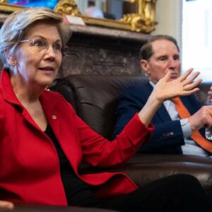 'We Need A Level Playing Field': Elizabeth Warren Vows To Keep Pushing Voting Rights Reform