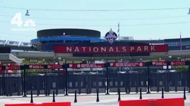 BetMGM Sportsbook Opens at at Nats Park | NBC4 Washington