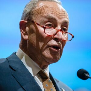 'We Must Defend Democracy!' Schumer Decries Republican-Led Efforts To Restrict Voting Rights