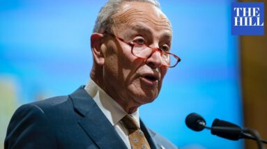 'We Must Defend Democracy!' Schumer Decries Republican-Led Efforts To Restrict Voting Rights