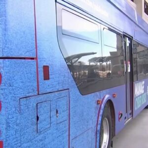 DC Metro Reduces Bus Service Due to COVID | NBC4 Washington