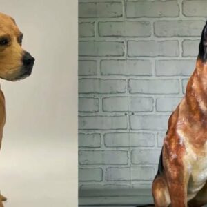 Fairfax Company 3D Prints Pets Who Have Died | NBC4 Washington