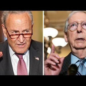 'Is That Not Suppressing The Vote?' Schumer Slams McConnell's 'Big Lie' Denying Voter Suppression