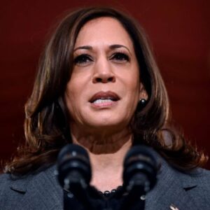 'Our Entire Nation Will Pay The Price': Kamala Harris Speaks On Need For Election Reform