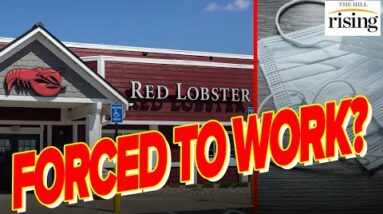 63% Of Ill Red Lobster Employees FORCED To Work While Sick. Only 12% Have Access To Paid Sick Leave
