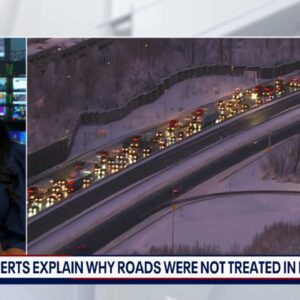 I-95 Shutdown: Experts explain why roads were not treated in northern Virginia | FOX 5 DC