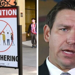 'They're Letting Hysteria Drive Them': DeSantis Says COVID-19 Policies Undercut Normal Society