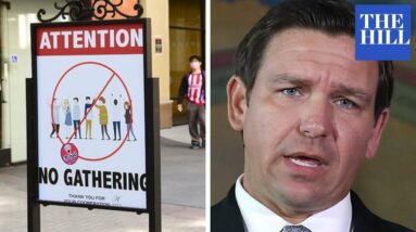'They're Letting Hysteria Drive Them': DeSantis Says COVID-19 Policies Undercut Normal Society