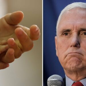 'To Be Pro-Life You Must Be Pro-Adoption’: Mike Pence Claims In A Pro-Life Summit Speech