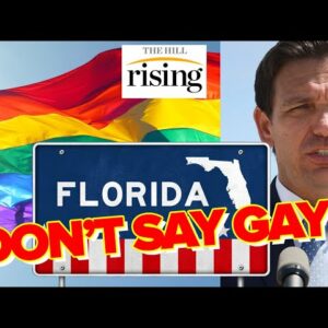 Teaching Sex And Gender In The Classroom? Rising DEBATES Florida’s “Don't Say Gay” Bill