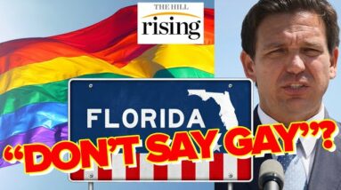 Teaching Sex And Gender In The Classroom? Rising DEBATES Florida’s “Don't Say Gay” Bill