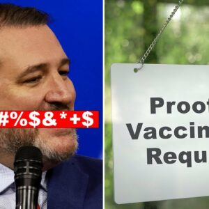 'Shut The Hell Up!' Ted Cruz Bashes Government Mandates Regulating Vaccines, Individual Choice