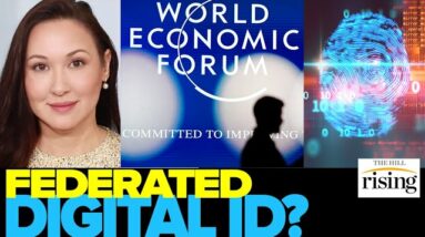 Kim Iversen: Digital IDs To Be Rolled Out By Big Banks For WEF's GREAT RESET Agenda