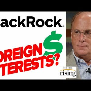 Is BlackRock CEO Larry Fink The Most POWERFUL Man In The World?