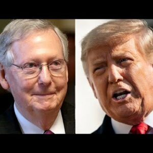 McConnell Laughs Off Trump's 'Old Crow' Nickname: 'It's My Favorite Bourbon'