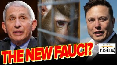 Elon Musk The New FAUCI? Monkeys Died After Neuralink Brain Chip Experiments