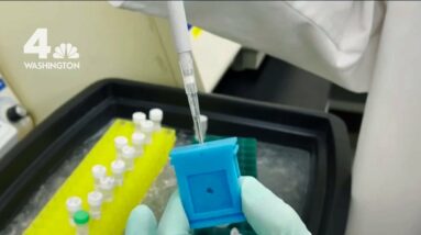 GW Researchers Develop Test to Predict How Sick People Will Get From COVID | NBC4 Washington