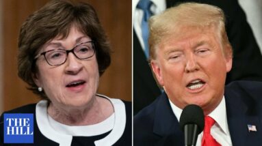 'Absolutely Atrocious': Trump Hits Collins After Learning She Helped Recruit Anti-Trump Candidates