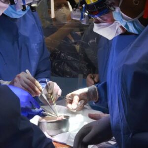 Pig Heart Transplant Could Help Solve Organ Shortage | NBC4 Washington
