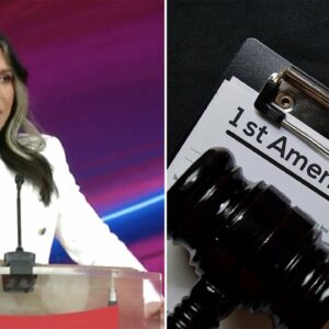 Tulsi Gabbard Cheered At CPAC As She Attacks Security State, Mainstream Media, Power Elite