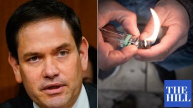 'This Is Insane': Democrats Block Rubio-Manchin Bill Banning Funding For Crack Pipe Distribution