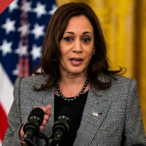 WATCH: Harris delivers remarks on the expanded child tax credit