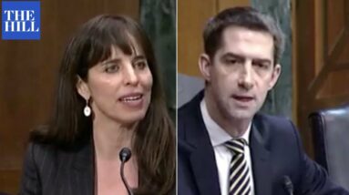 'Do You Think You Know Better?' Tom Cotton Asks Nominee If Man Put To Death Was Guilty