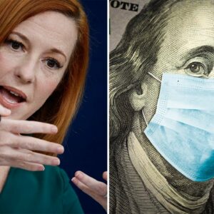 'If We Had Money To Move We Would': Jen Psaki Touts Plan Requiring More Money For COVID-19 Tests