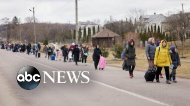 10 million people displaced or forced to flee Ukraine: UN | ABCNL