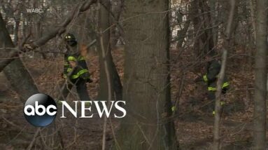 Investigators suspect arsonist in Central Park